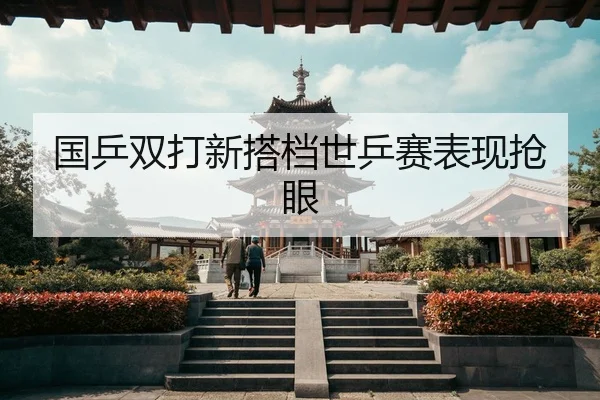 国乒双打新搭档世乒赛表现抢眼